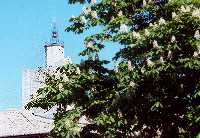 clocher